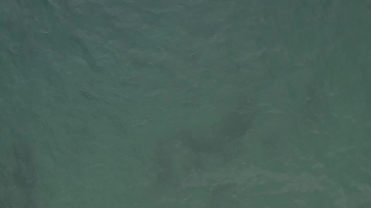 Green coastal water fills the frame in Baja California Sur, Mexico, with soft surface movement and muted darker patches, no visible people.