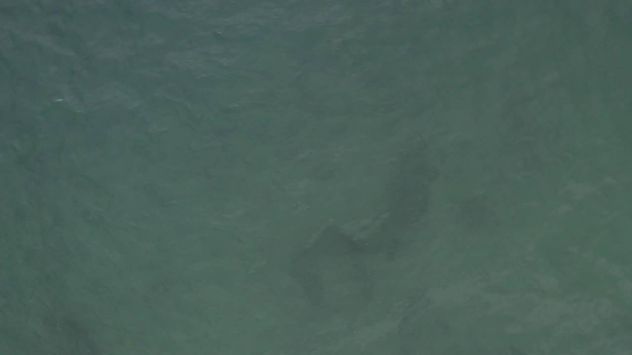 Top-down water texture in Baja California Sur, Mexico, showing teal-green ripples and darker shapes below the surface, no visible people.