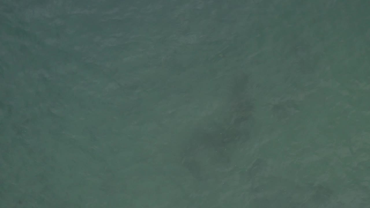 Muted green-blue ocean surface in Baja California Sur, Mexico, with gentle ripple bands across the frame and no visible people.