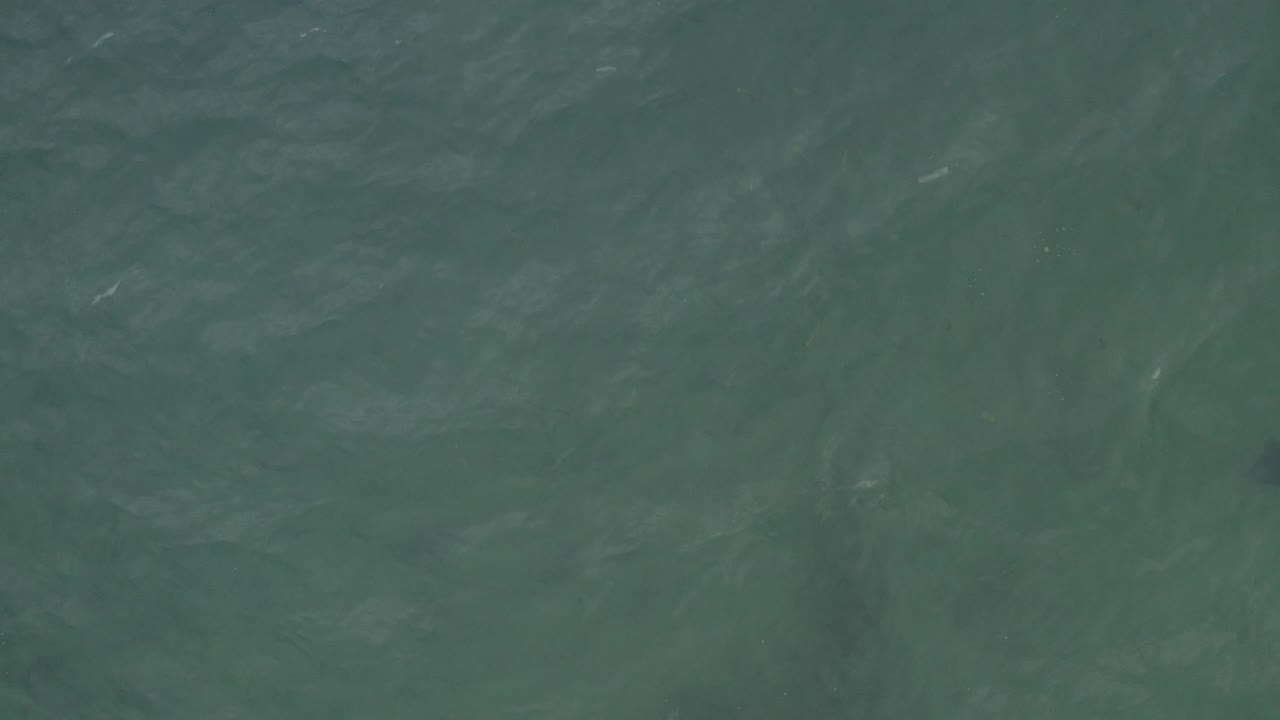 Overhead view of green-blue water in Baja California Sur with faint dark underwater shapes near the lower frame and no visible people.