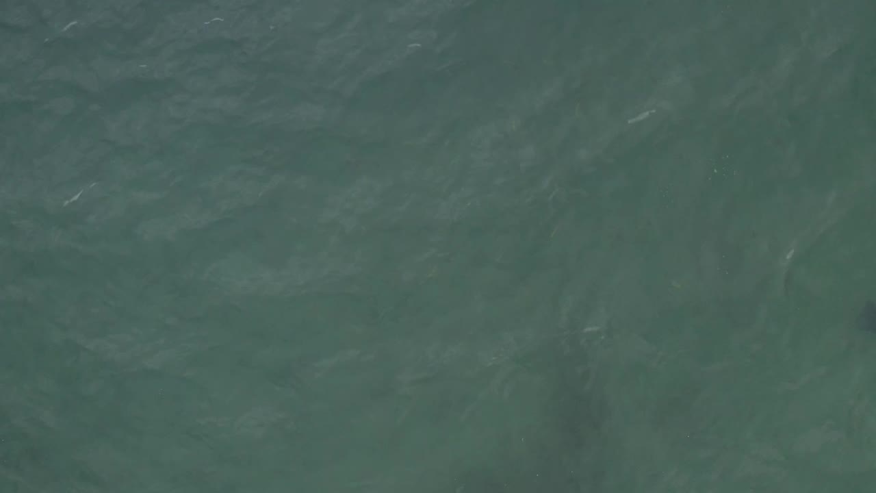 Overhead Baja California Sur water surface with a darker underwater patch low in frame and pale streaks from the current, with no visible people.