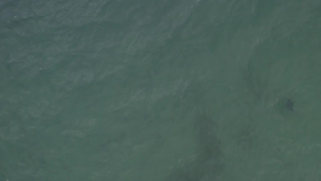 overhead water texture with dark spot below center