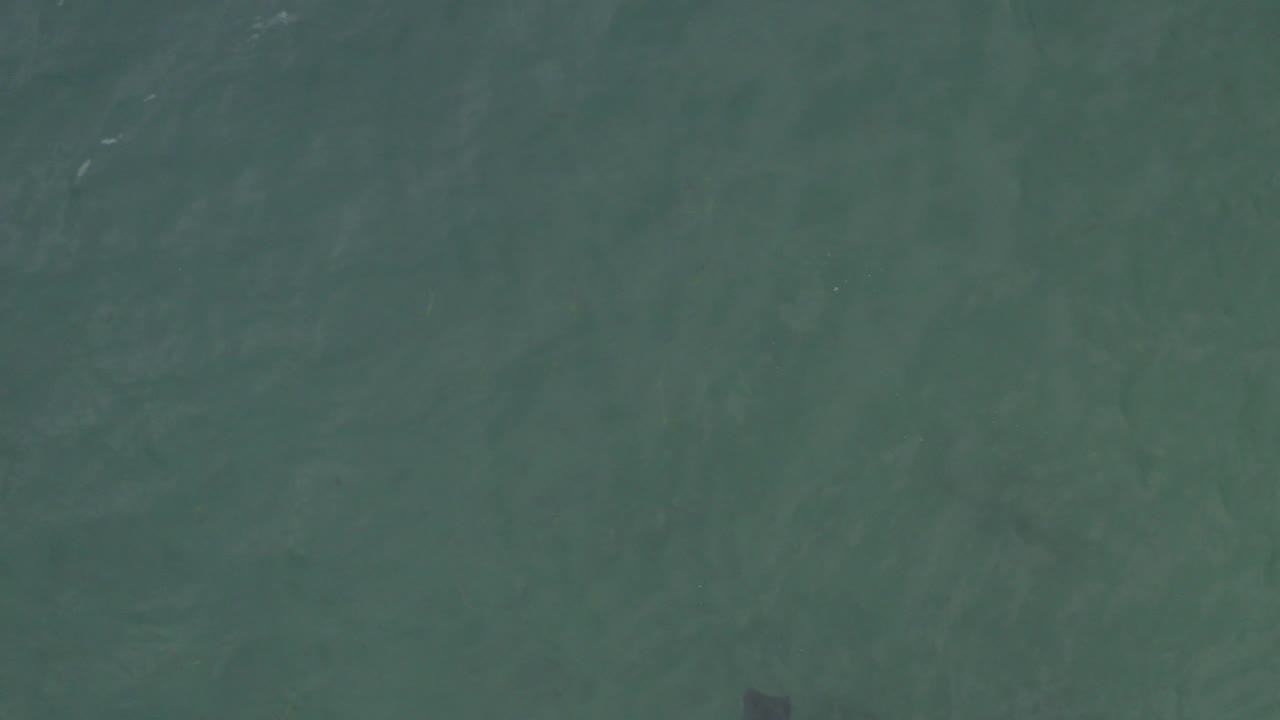 Overhead green-blue water with faint ripples