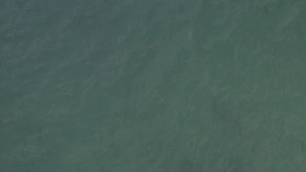 Muted green-blue water in Baja California Sur shows soft ripples and cloudy surface variation, with no visible people or structures.