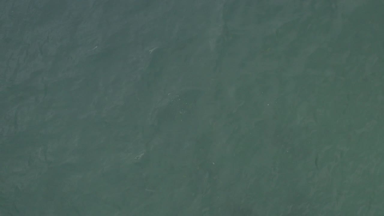 Overhead teal ocean surface with faint wave texture
