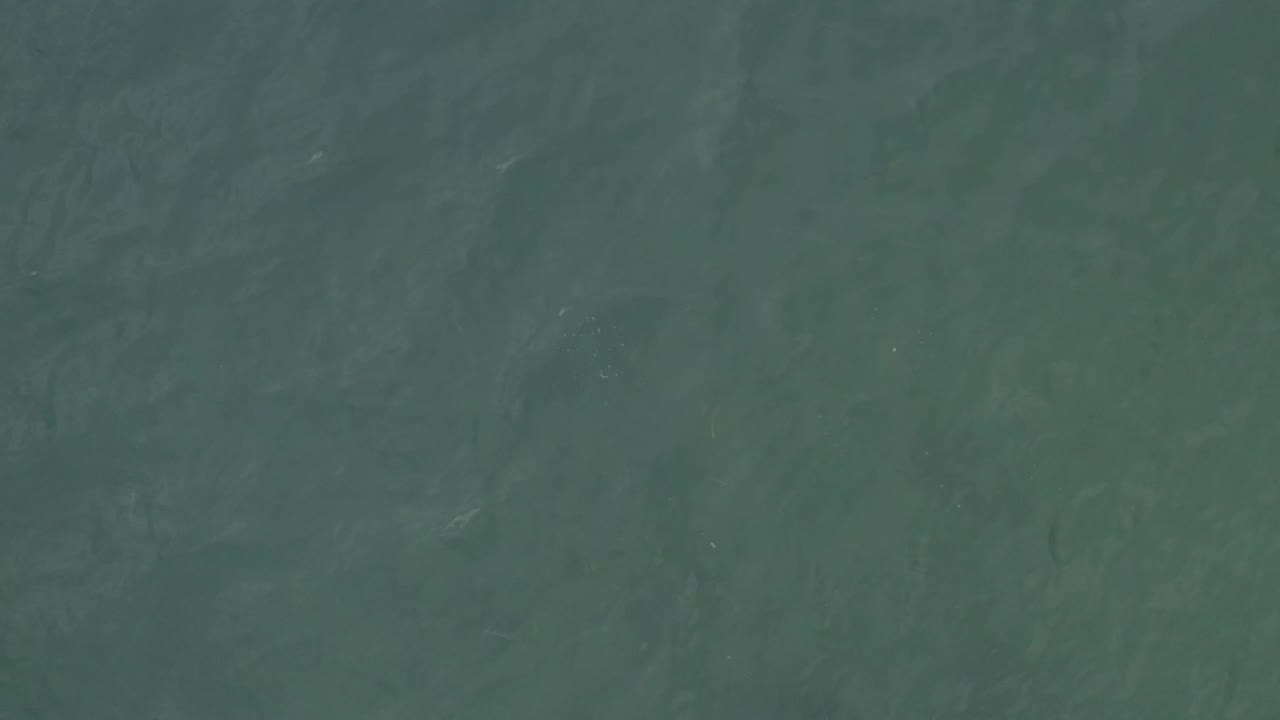 Blue-green sea surface in Baja California Sur, Mexico, with darker bands crossing the water and no visible people.