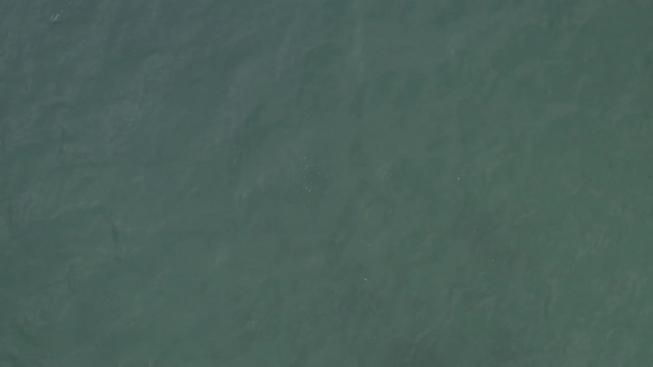 Top-down aerial ocean texture in Baja California Sur, Mexico, showing faint ripple patterns and no visible people or vessels.
