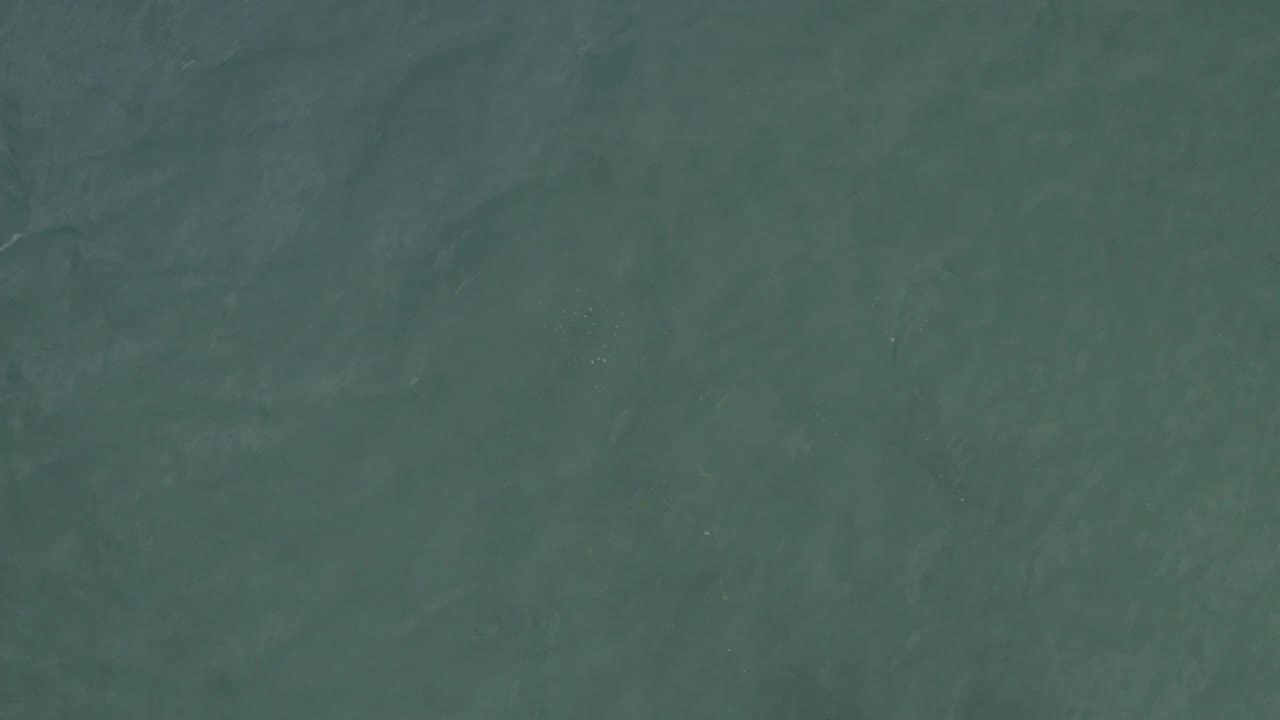 Muted teal water in Baja California Sur, Mexico, seen from above with soft wave streaks and no visible people.
