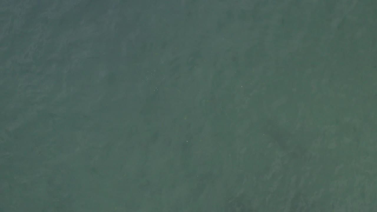 Top-down view of blue-green ocean water in Baja California Sur, Mexico, with faint surface streaks and no visible people.
