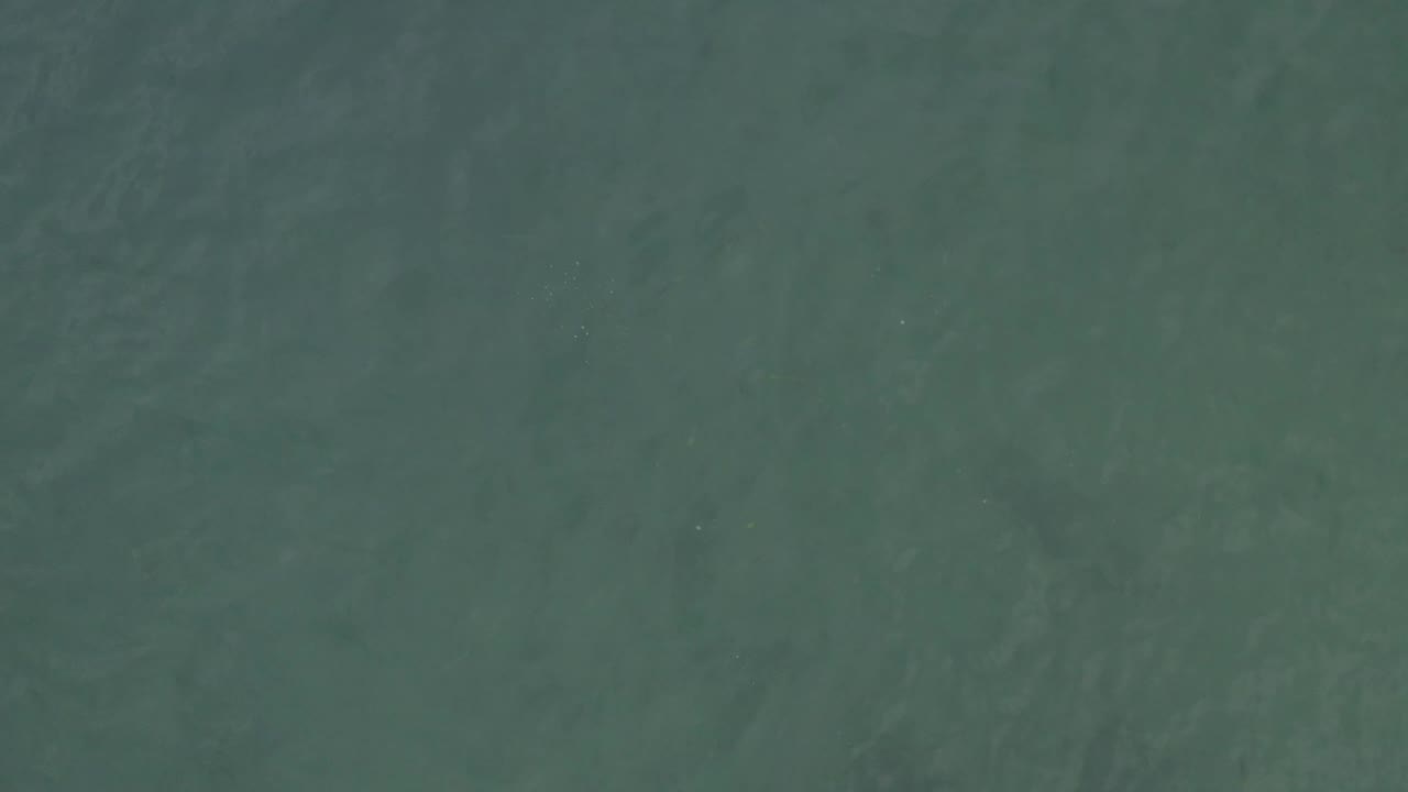 Overhead blue-green water in Baja California Sur, Mexico, with subtle ripple patterns spread across the frame and no visible people.