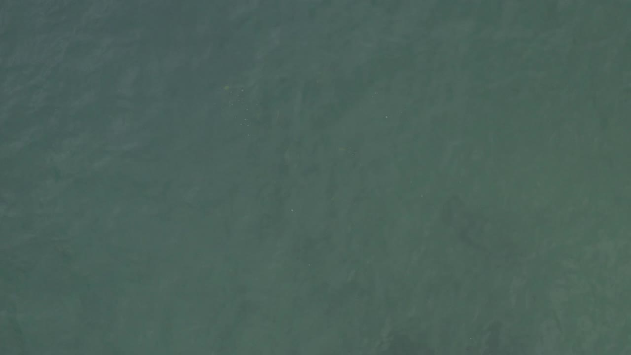 Aerial view over open Baja California Sur ocean water, showing gentle ripples and a slightly darker blue-green tone with no visible people.