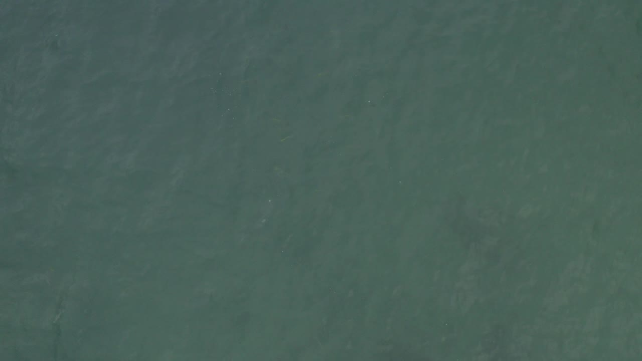 Overhead view of green-blue ocean water in Baja California Sur, Mexico, with faint surface ripples and no visible people.