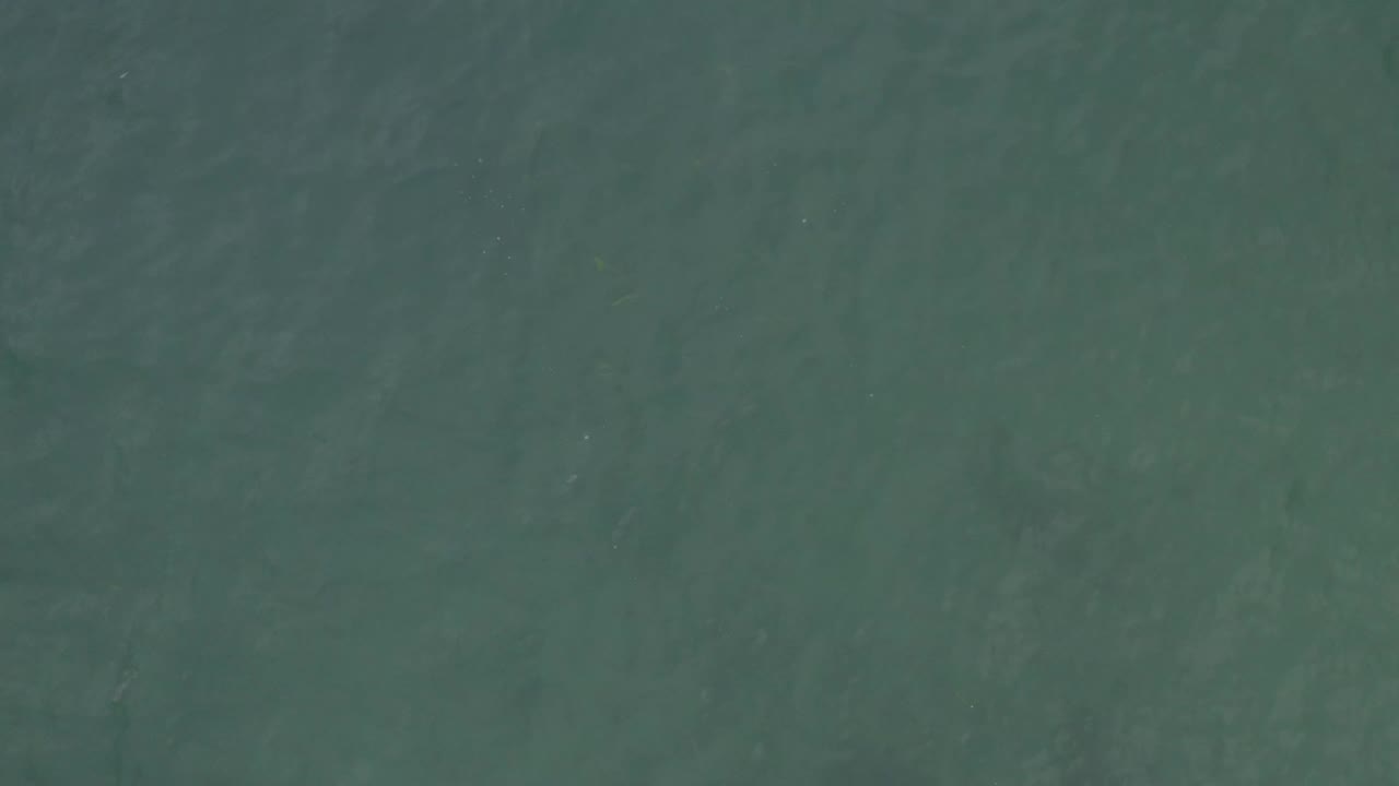 Blue-green ocean water fills the frame in Baja California Sur, Mexico, with soft tonal variation and no visible people.