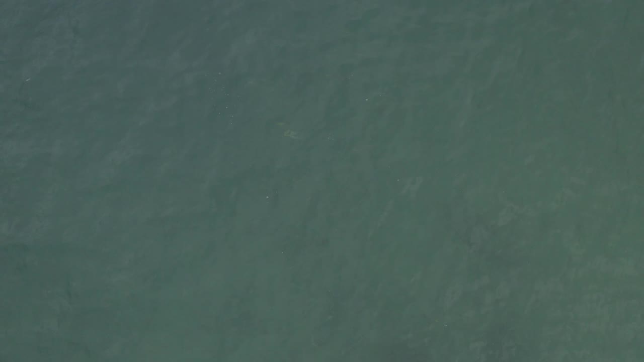 Calm Baja California Sur ocean water appears as a continuous teal surface with muted wave texture and no visible people.