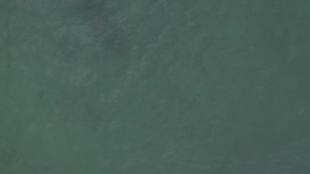 Muted green ocean water in Baja California Sur shows soft surface texture with no shoreline, boats, or visible people.