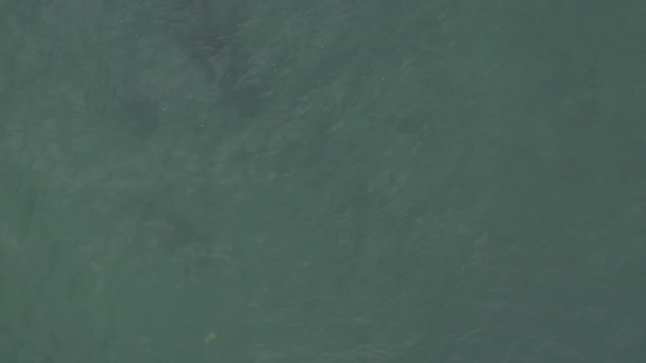 The Baja California Sur ocean surface appears darker in places, with gentle texture across the full frame and no visible people.
