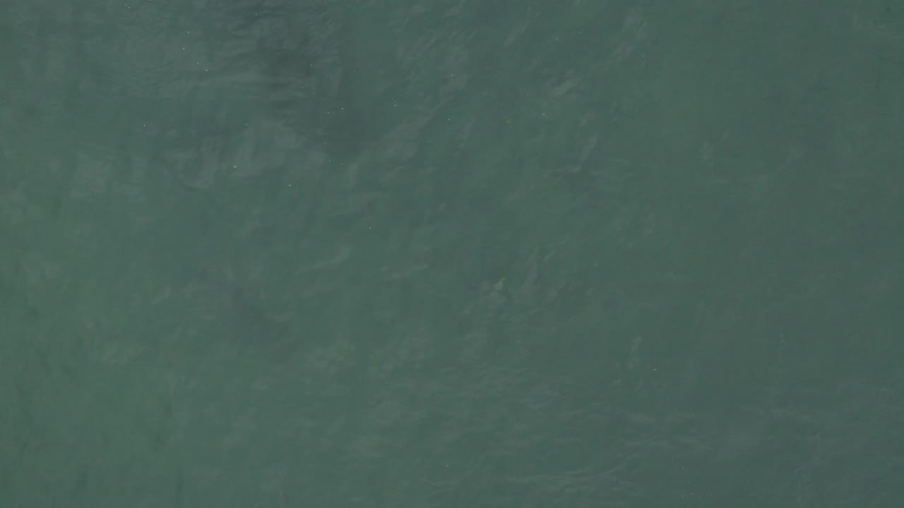Dark green sea surface in Baja California Sur, Mexico, seen from above with soft streaks in the water and no visible people.