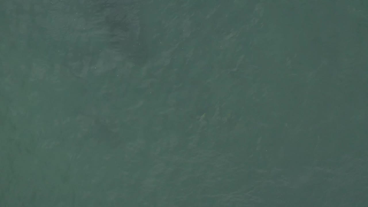 A close aerial-looking view of green ocean water in Baja California Sur, Mexico, with darker rippled patches across the frame and no visible people.