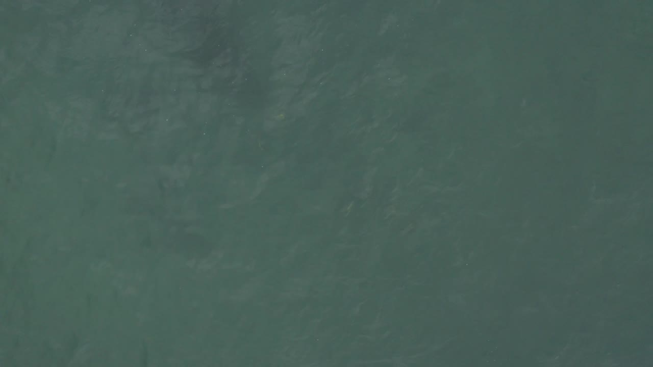 Muted dark green sea surface in Baja California Sur, Mexico, with soft diagonal wave marks and no visible people or shoreline.