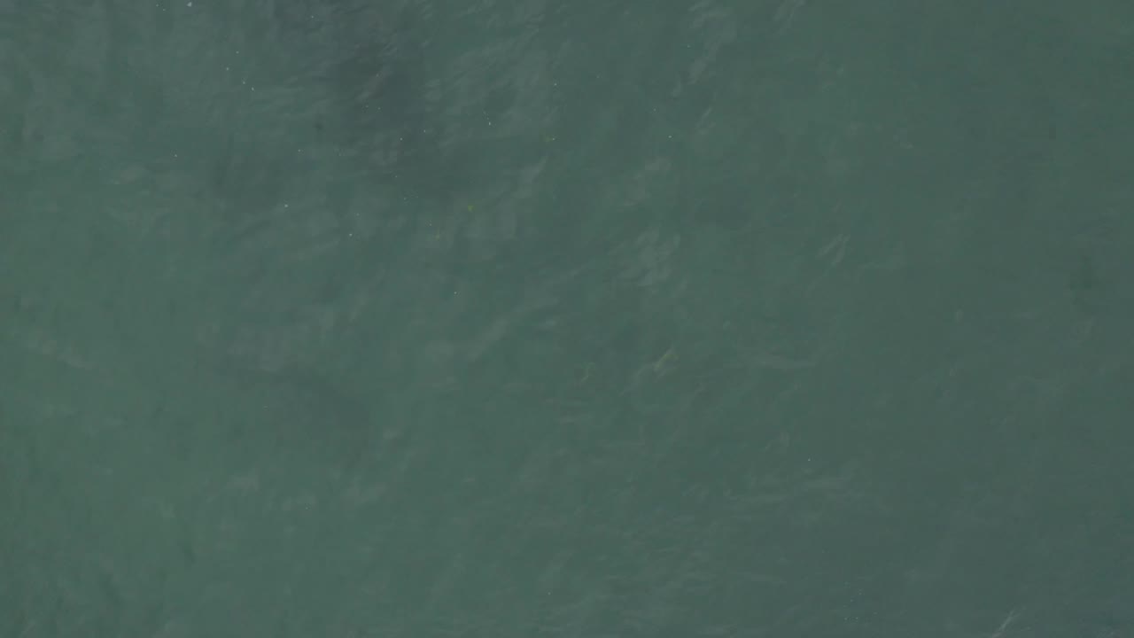 Dark green ocean water in Baja California Sur, Mexico, fills the frame with low-contrast ripples and small tonal shifts, with no visible people.