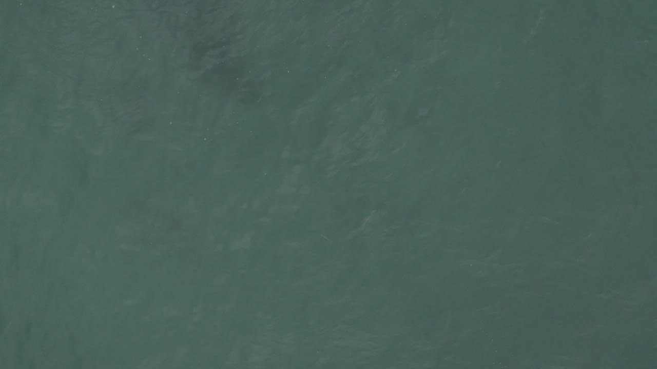 Green ocean water texture viewed from above