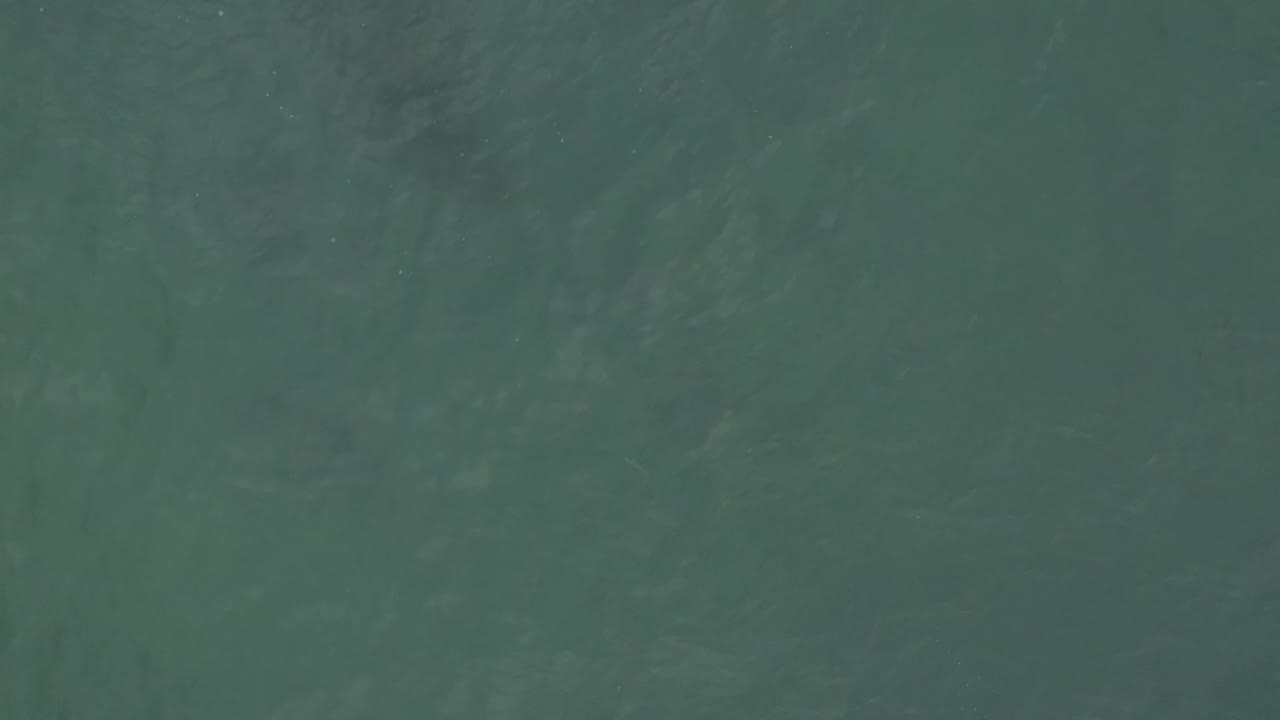 Muted green sea surface fills the frame in Baja California Sur, Mexico, with faint darker areas below the water and no visible people.