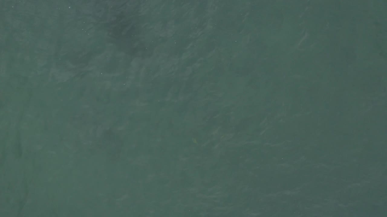 Straight-down view of green ocean water in Baja California Sur, Mexico, showing subtle tonal changes across the surface and no visible people.