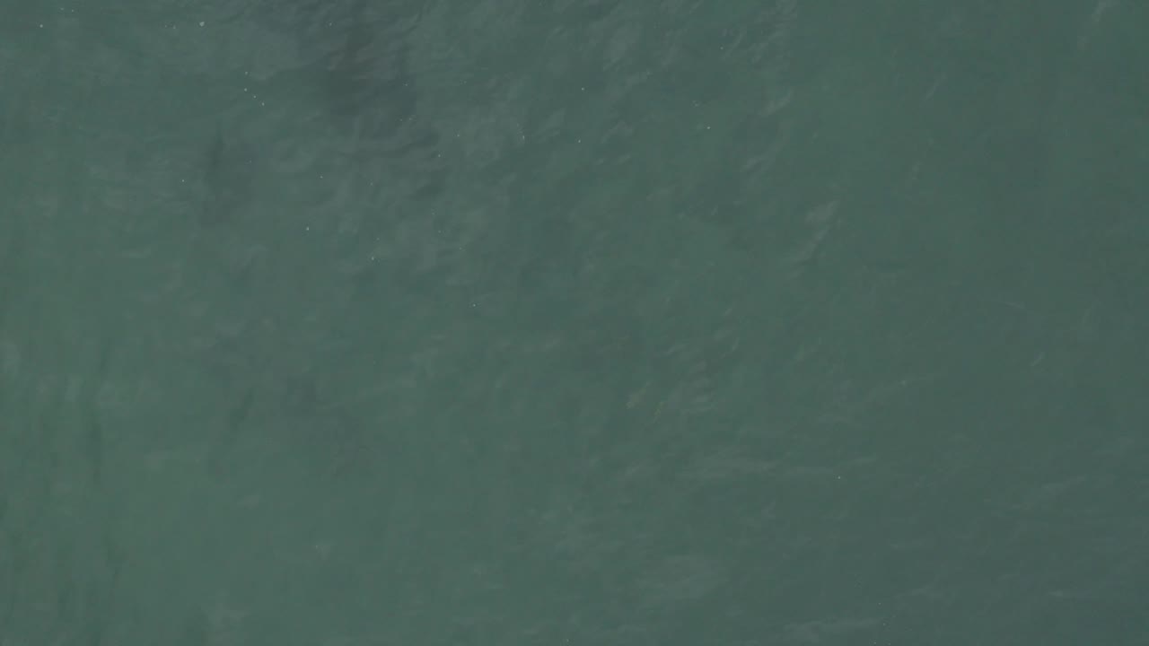 Green ocean surface in Baja California Sur, Mexico, with darker underwater forms visible through the water and no visible people.