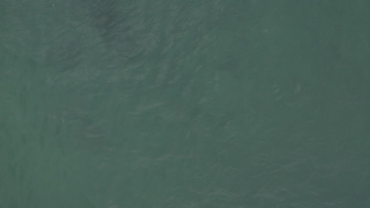 Top-down teal ocean surface with small ripples