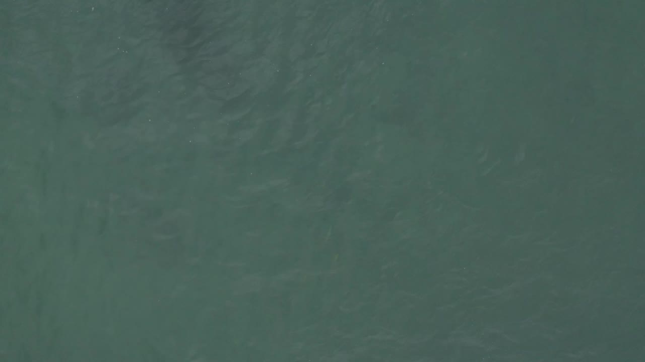 Overhead green-blue ocean surface in Baja California Sur, Mexico, with soft ripple bands shifting across the frame and no visible people.