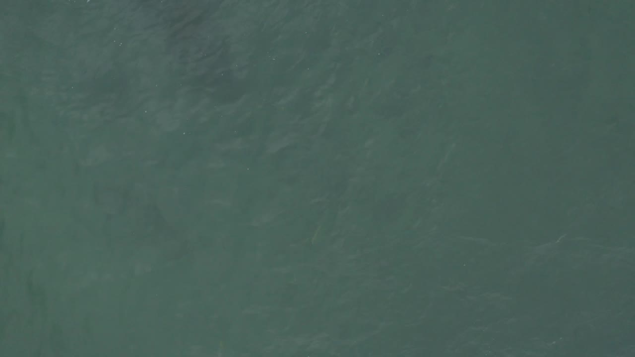 Straight-down ocean view in Baja California Sur, Mexico, with the water surface filling the image and no visible people or vessels.
