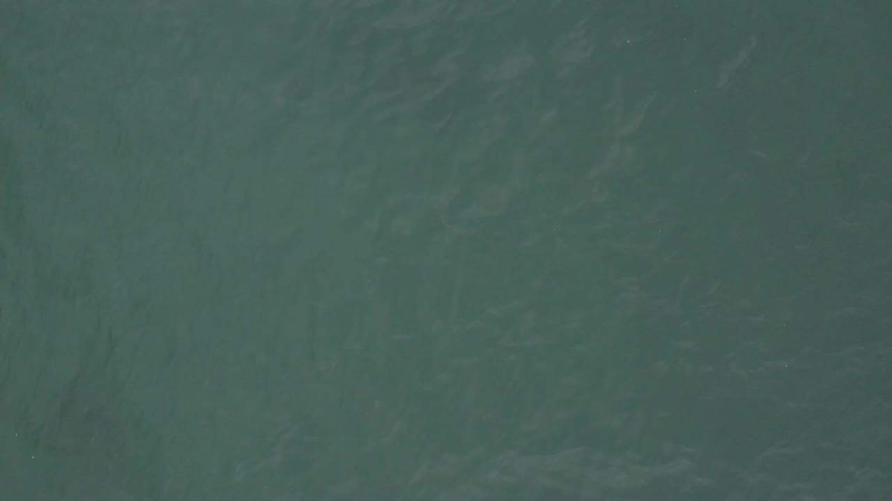 Top-down view of green-blue ocean water with faint surface ripples.