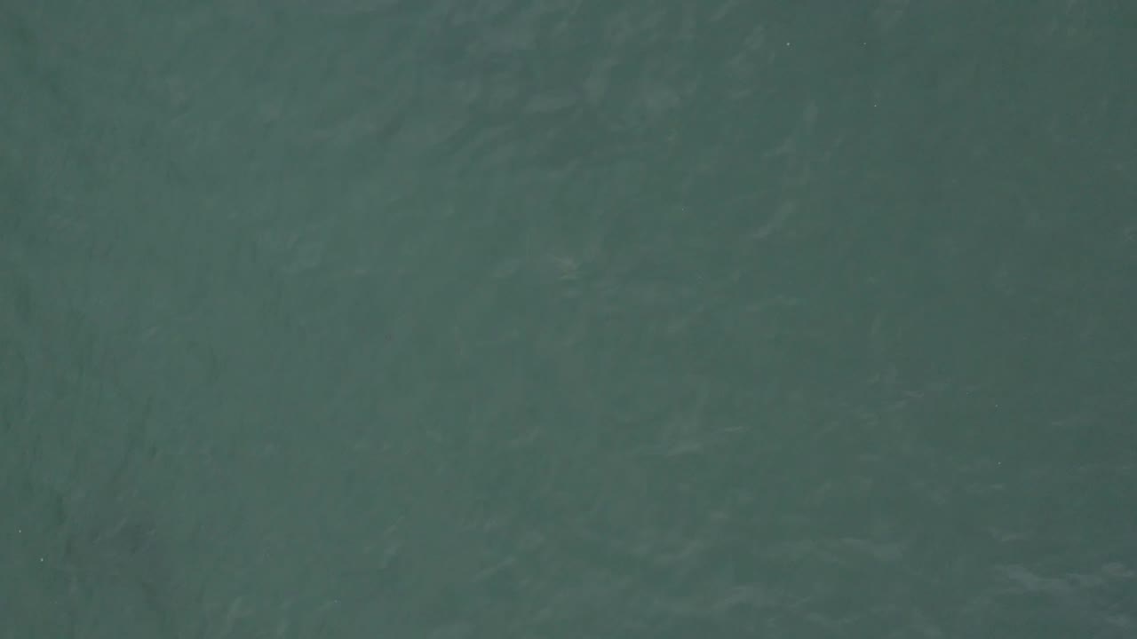 Top-down aerial view of green-blue water in Baja California Sur, Mexico, showing darker tonal patches and no visible people.