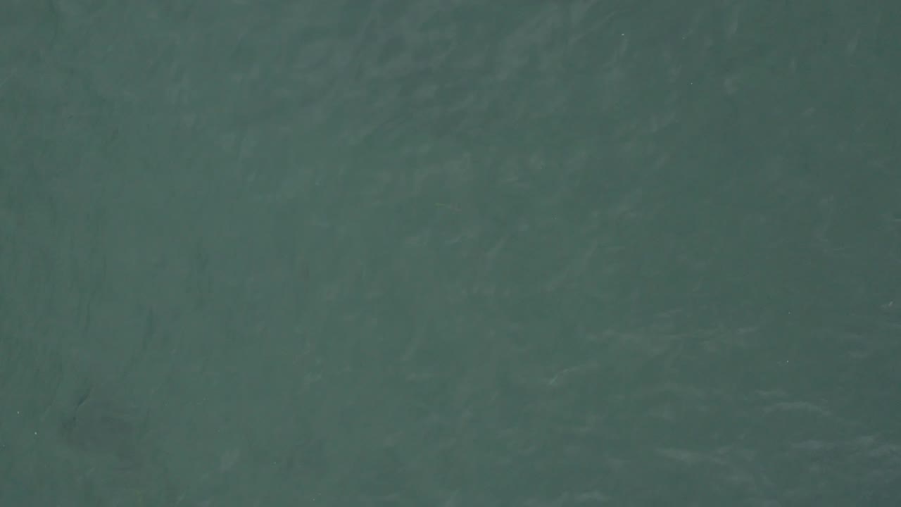 Full-frame overhead ocean surface in Baja California Sur, Mexico, with soft ripples spread evenly and no visible people.