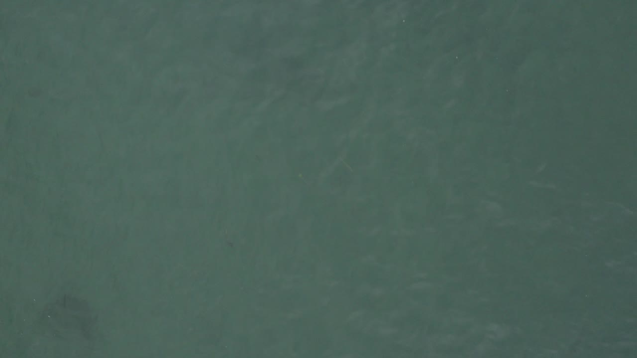 Top-down aerial view of green-blue ocean water in Baja California Sur, Mexico, with faint dark forms beneath the surface and no visible people.