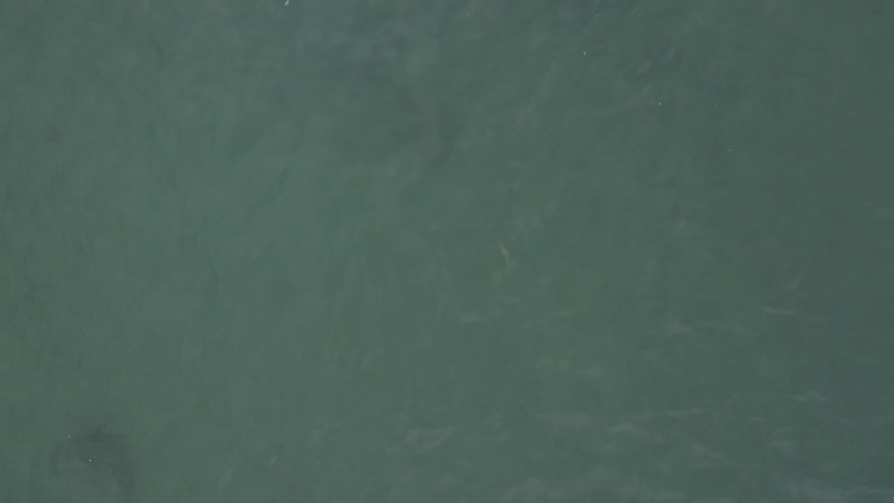 Top-down Baja California Sur ocean view with muted green water, pale underwater streaking, and no visible people or built structures.