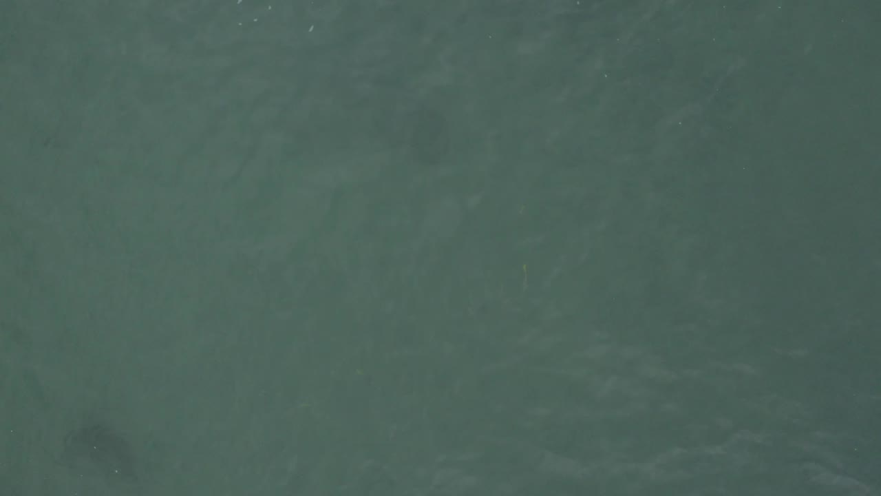 Aerial view of Baja California Sur ocean water with faint dark marks below the surface, scattered white specks, and no visible people.