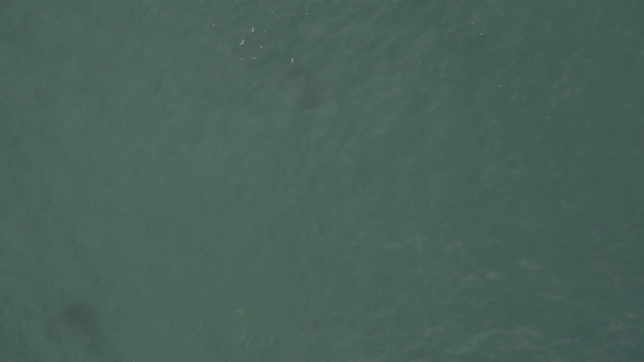 Overhead view of green-blue water in Baja California Sur, Mexico, with faint underwater dark patches and no visible people.