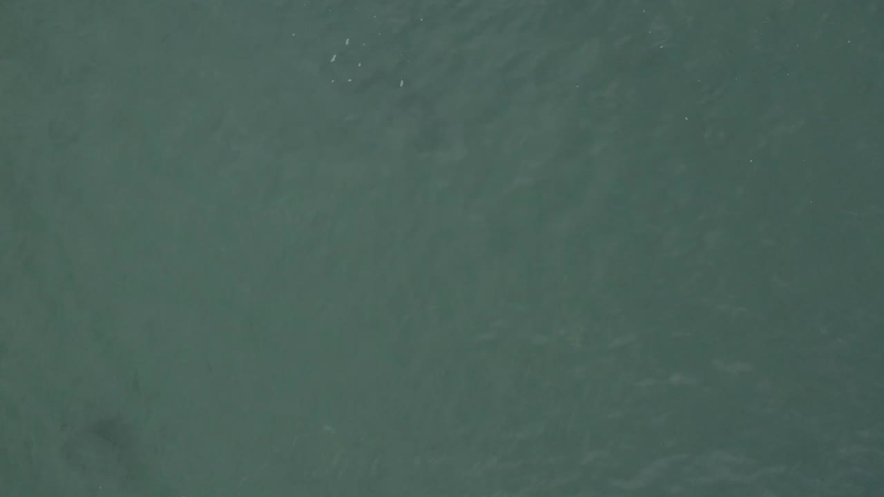 Green water fills the frame in Baja California Sur, Mexico, with soft ripple bands drifting across the surface and no visible people.