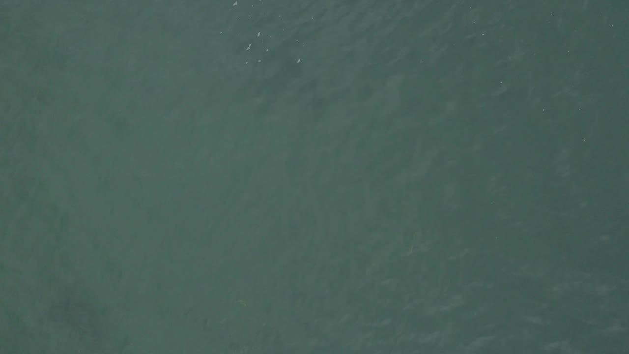 Straight-down view of green-blue water in Baja California Sur, Mexico, showing small white bubble marks near the upper area and no visible people.