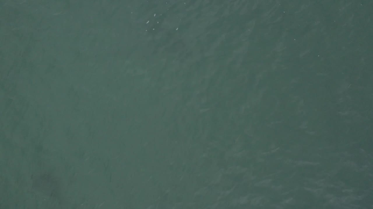 Green coastal water in Baja California Sur, Mexico, seen from above with faint wave texture and darker patches below the surface, with no visible people.