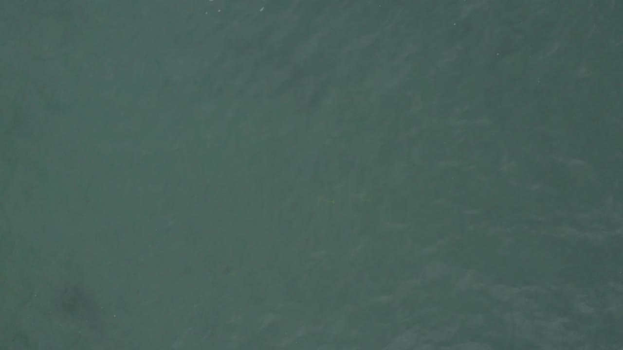 Open green-blue water in Baja California Sur, Mexico, with small light specks across the surface and no visible people.