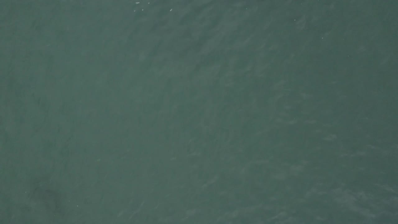 Low-contrast green ocean surface in Baja California Sur, Mexico, with soft ripple texture and no visible people.