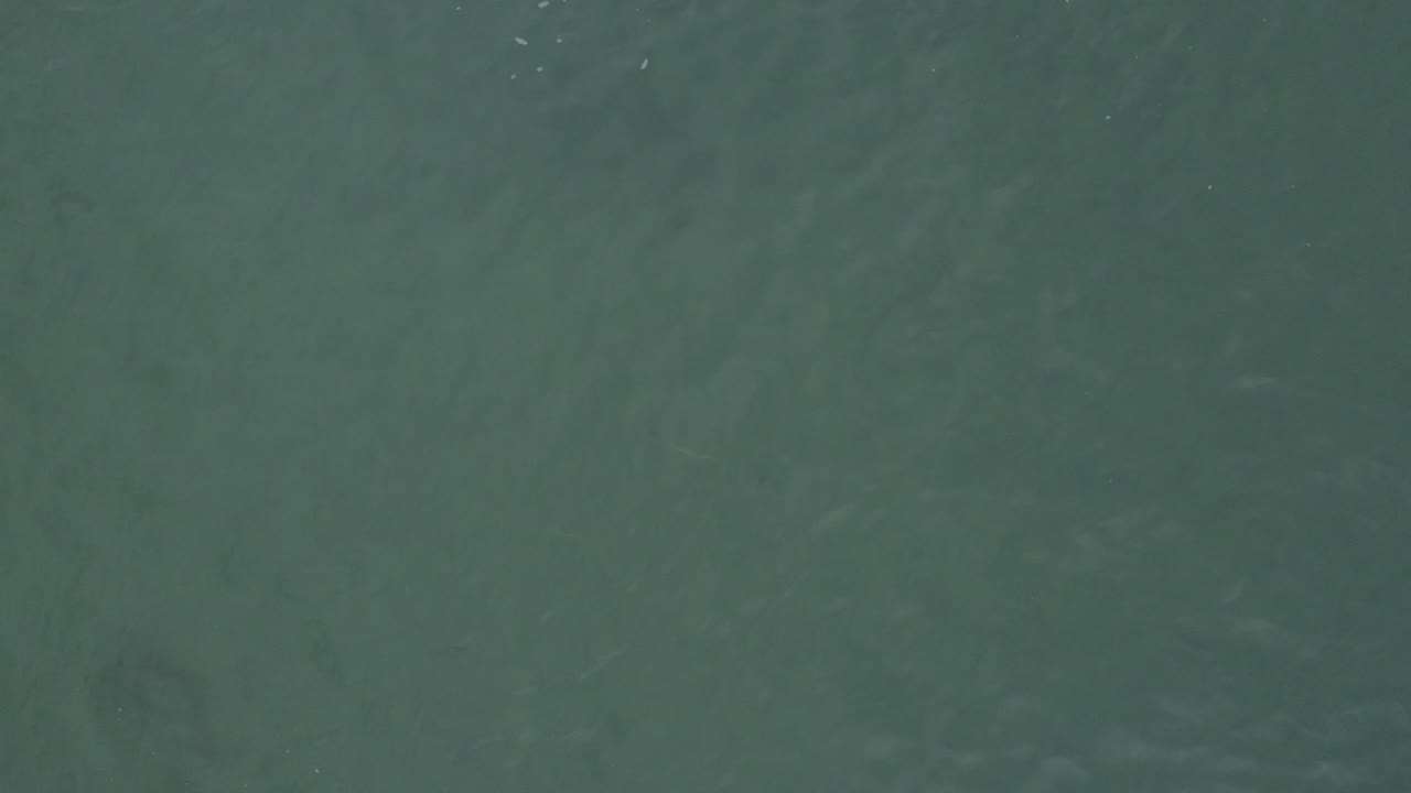 Top-down view of green-blue ocean water in Baja California Sur, Mexico, with soft ripples and no visible people at the start of the clip.