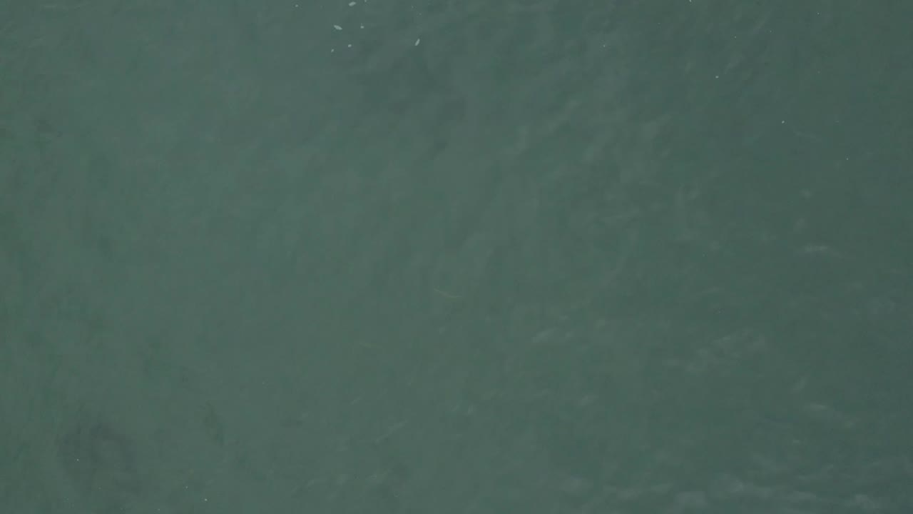 Overhead green-blue water in Baja California Sur, Mexico, with slightly darker patches under the surface and no visible people.
