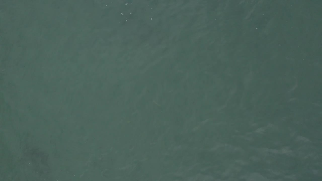 Green-blue ocean surface seen from above in Baja California Sur, Mexico, with tiny white flecks near the upper area and no visible people.