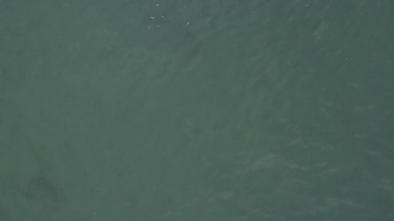 Top-side view of muted green-blue ocean in Baja California Sur, Mexico, with faint wave bands and no visible people.