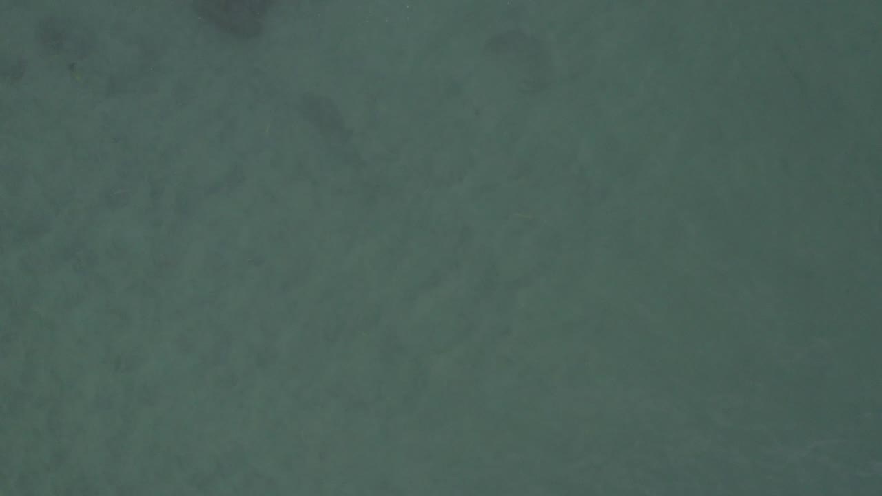 High overhead view of green-blue water in Baja California Sur, Mexico, with soft gray underwater shapes and no visible people.