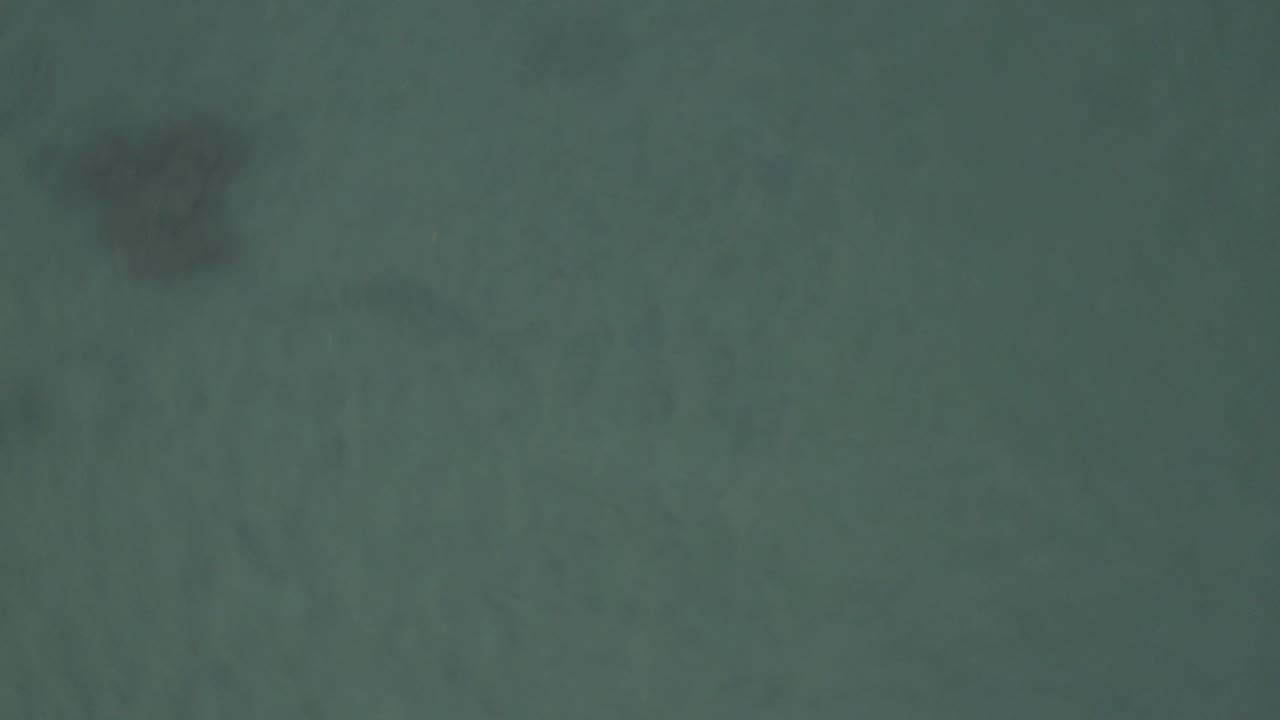 Top-down frame of muted green water in Baja California Sur, Mexico, with broad cloudy gray forms under the surface and no visible people.