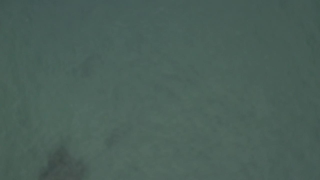 Overhead Baja California Sur water frame with a darker submerged patch near the lower left and no visible people or vessels.